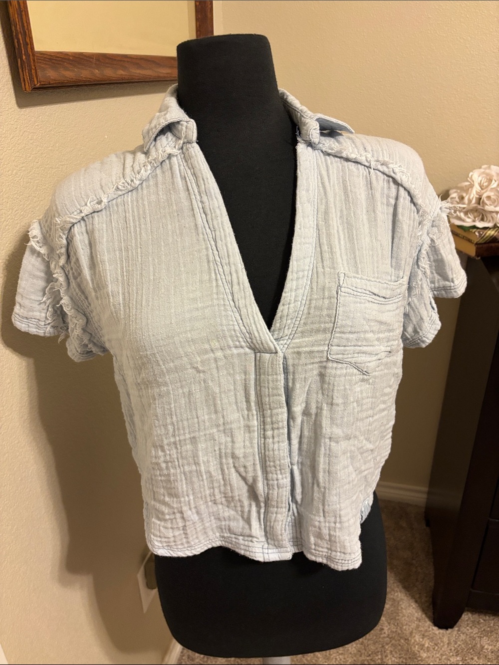 We The Free Pale Blue Gauze V-Neck Cropped Top